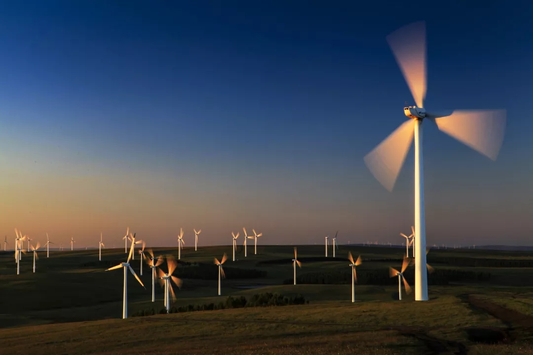 风电：驱动绿色未来的真实力量
